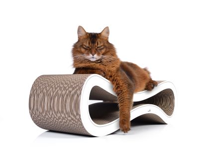 CAT RACER L Design Kratzmöbel, weiß mit Rand (000)