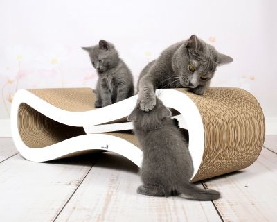 CAT RACER L Design Kratzmöbel, weiß, gestrichen (000x)
